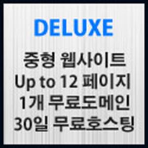 Picture of Deluxe 웹사이트제작