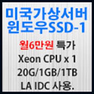 Picture of 미국가상서버 윈도우 SSD-1