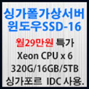 Picture of 싱가포르 가상서버 윈도우 SSD-16