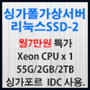 Picture of 싱가포르 가상서버 리눅스 SSD-2