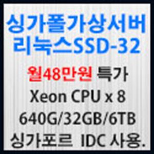 Picture of 싱가폴 가상서버 리눅스 SSD-32