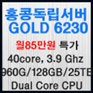 Picture of 홍콩호스팅 듀얼코어 Gold 6230